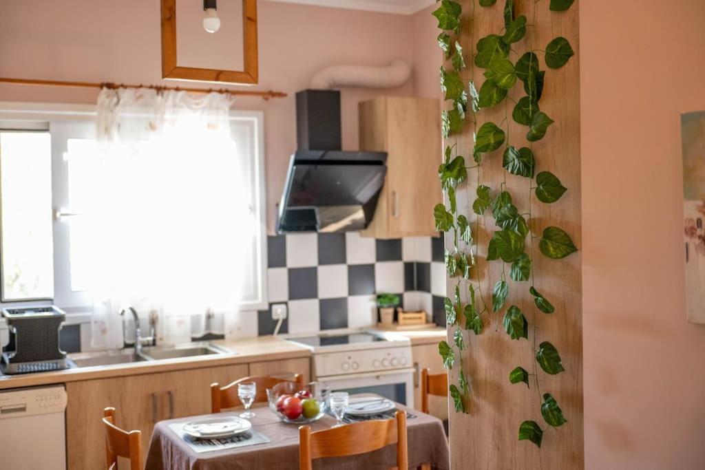 Ferienwohnung Dream House Preveza Exterior foto